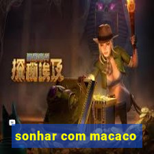 sonhar com macaco